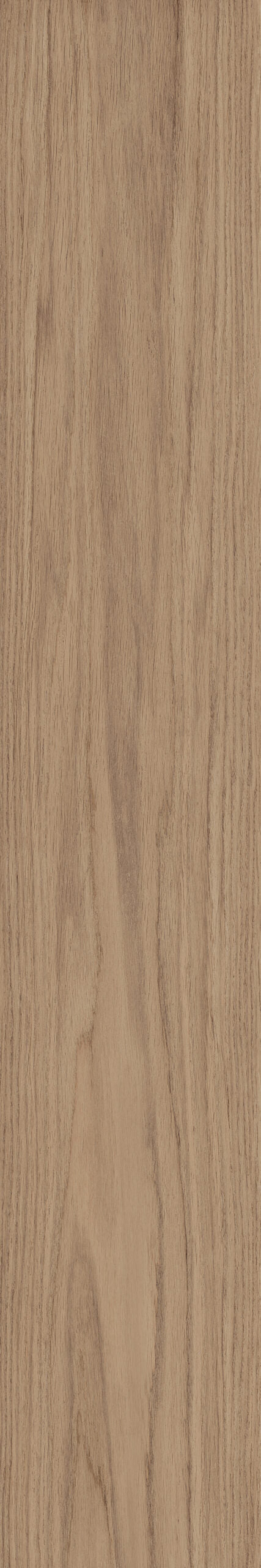Elegance Walnut 20x120 Grip
