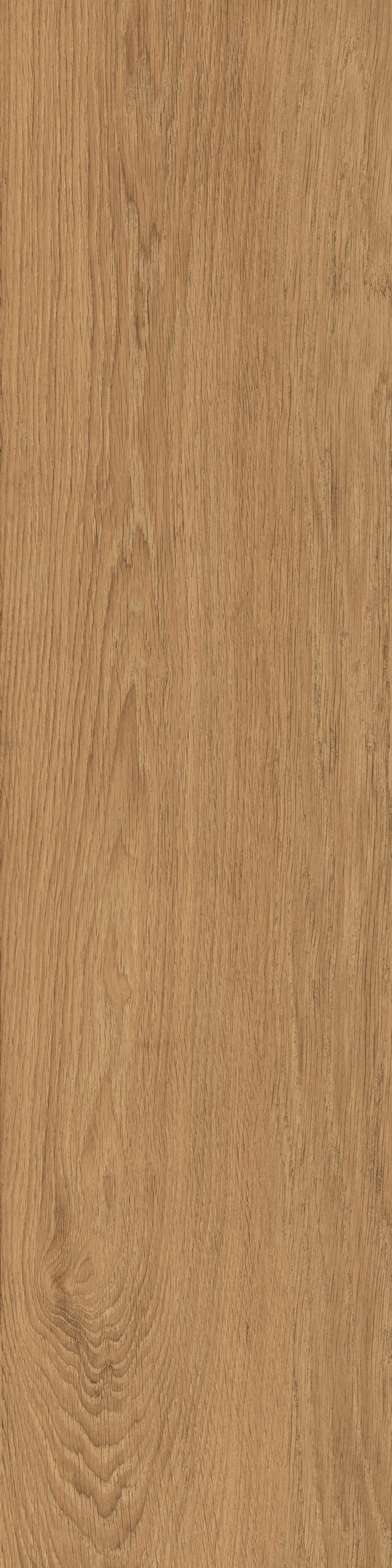 Elegance Walnut 30x120