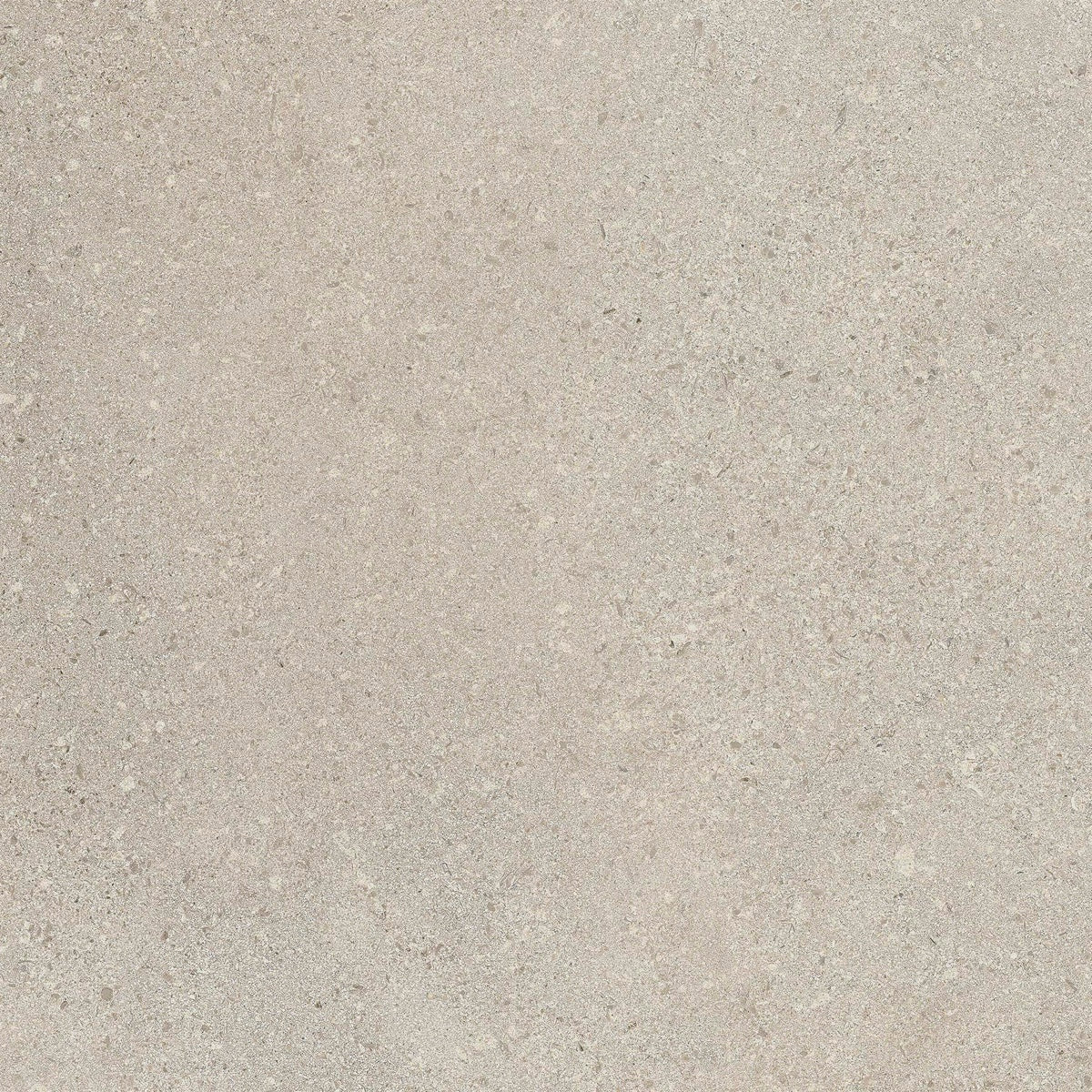 Capital Clay 60x60