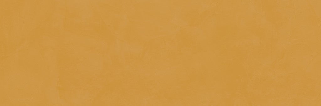 Brush Camel 33,3x100