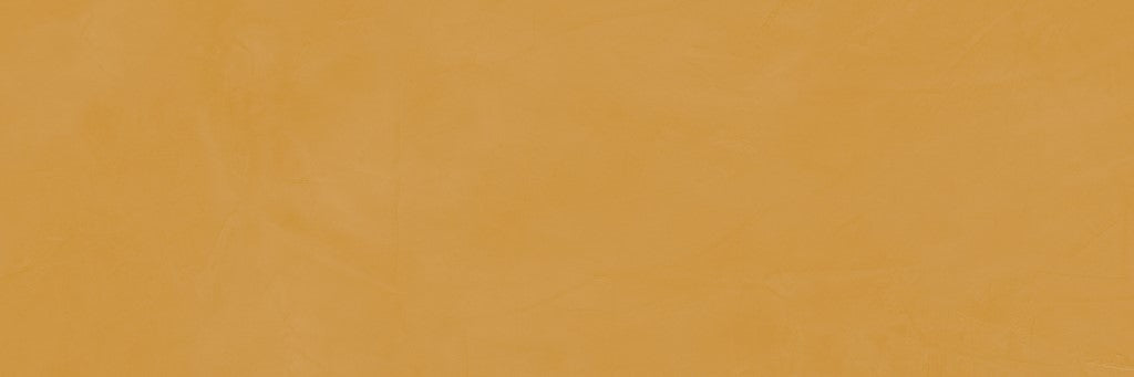 Brush Camel 33,3x100