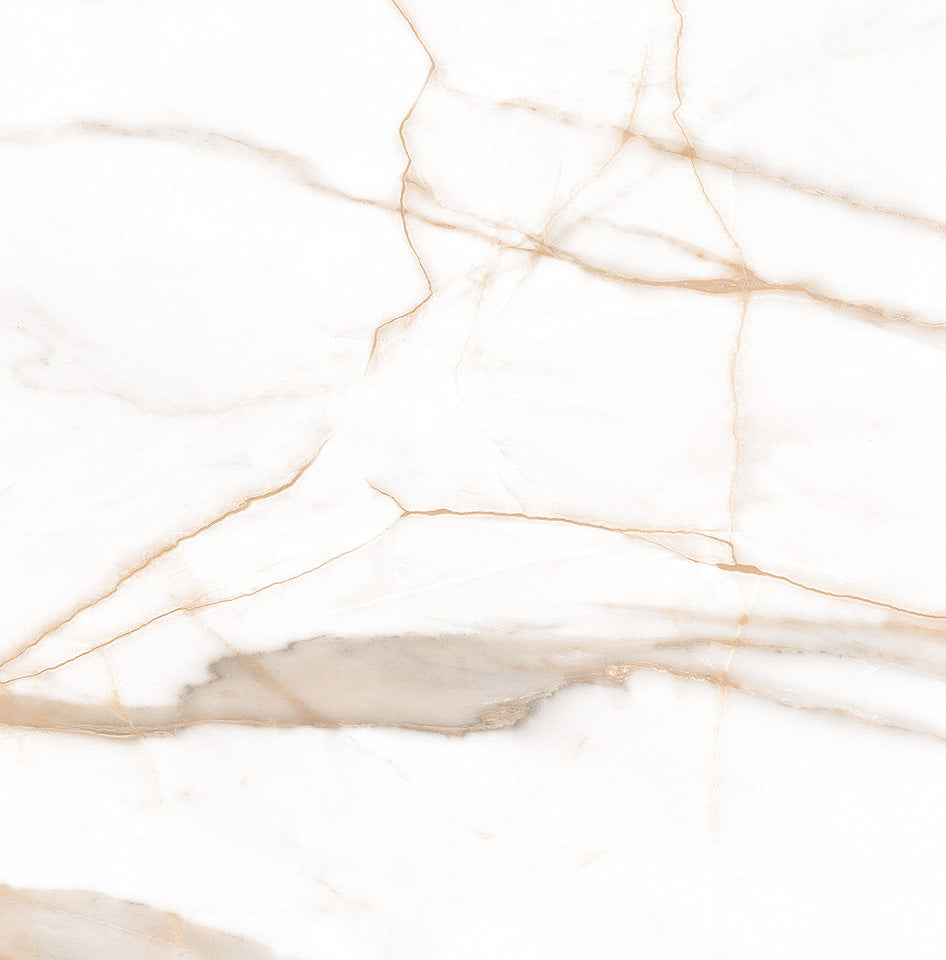 Calacatta Oro 60x60