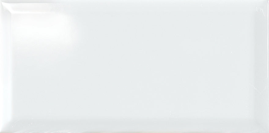 Diamante Bianco Lucido 10x20