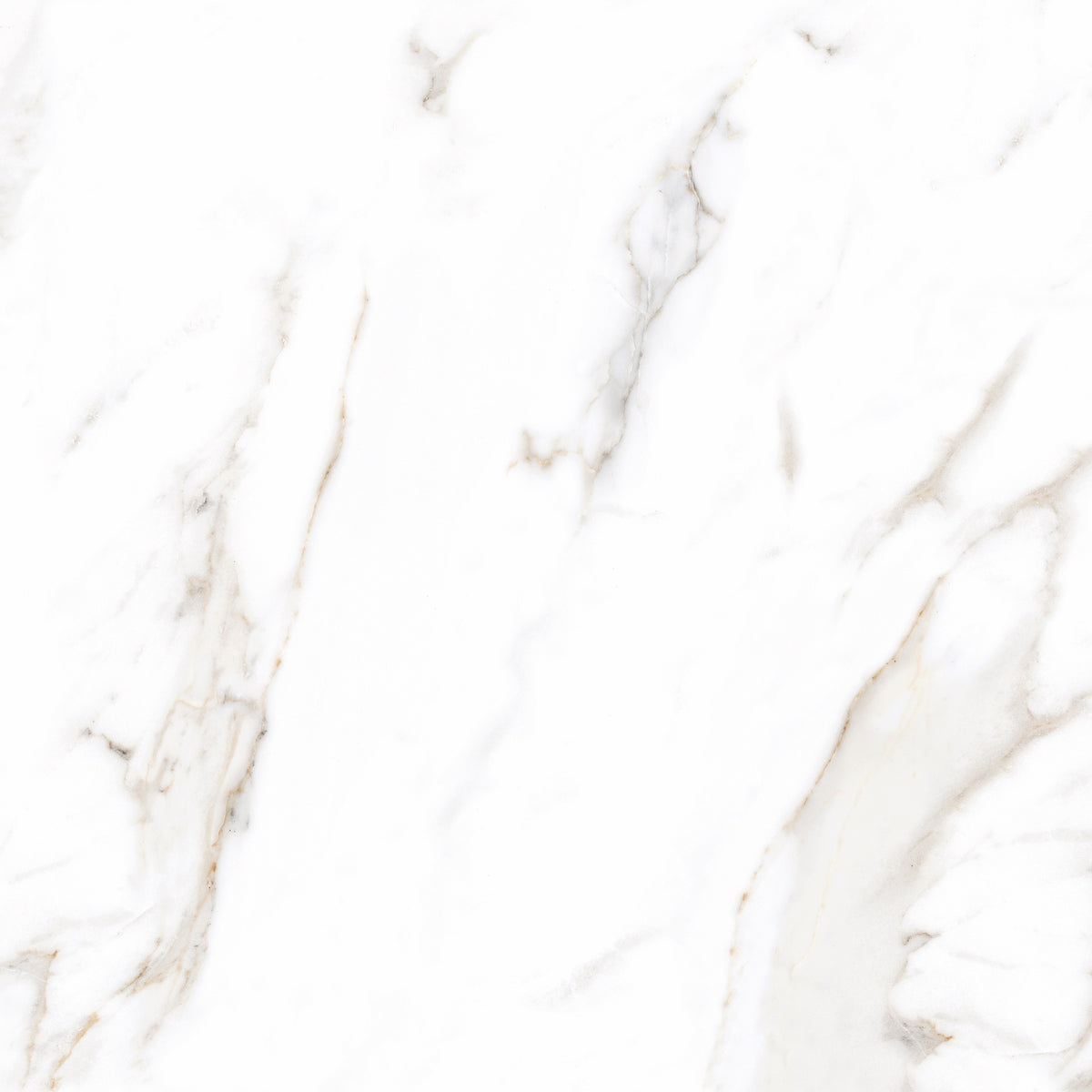 Calacatta Reale 120x120