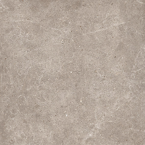 Camelot Ginevra 60x60